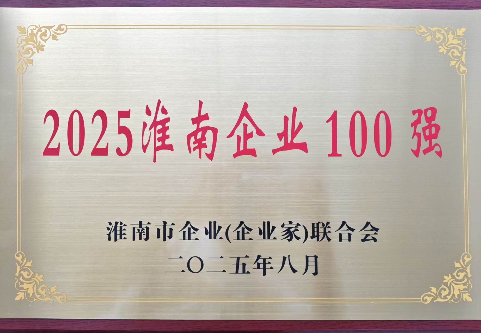 2025淮南市100強(qiáng)企業(yè)